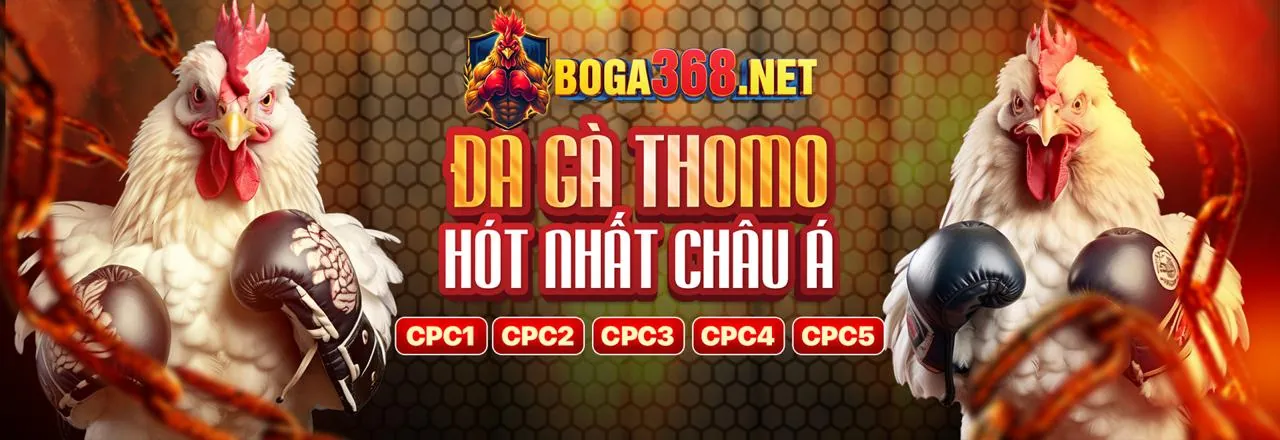 Hình ảnh tượng trưng cho các nguồn tài nguyên và tổ chức hỗ trợ cờ bạc có vấn đề